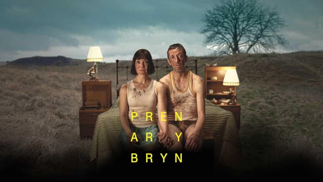 Pren ar y Bryn