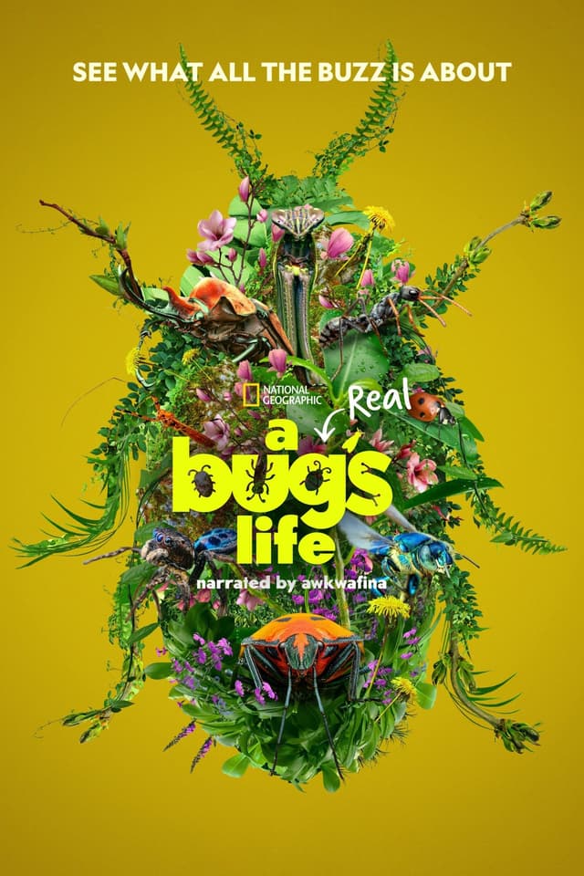 مشاهدة A Real Bug's Life