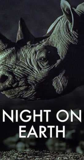 Night on Earth