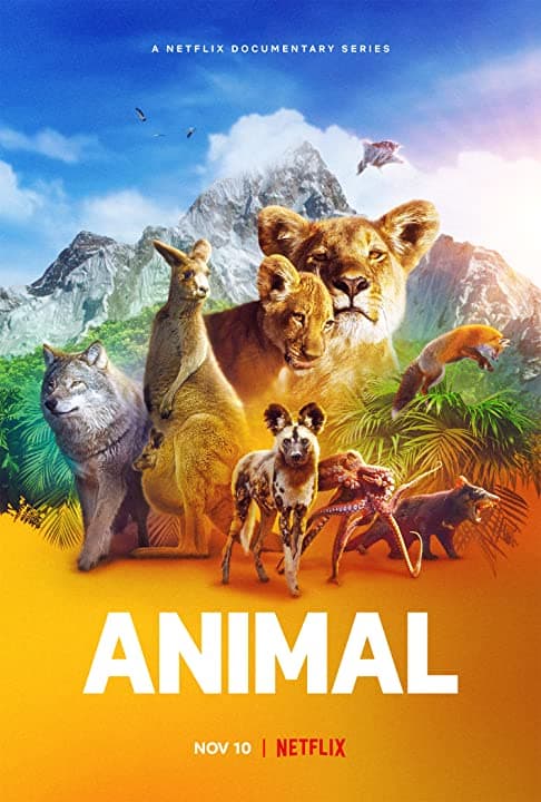 مشاهدة Animal