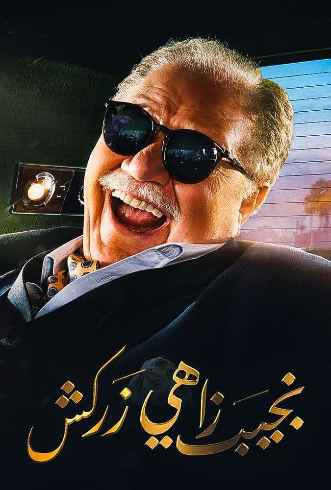 نجيب زاهي زركش