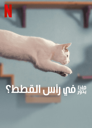 Inside the Mind of a Cat (2022)