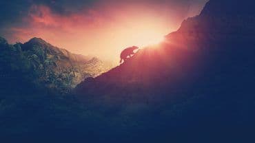 Rise of the Mammals 2019 (2019)