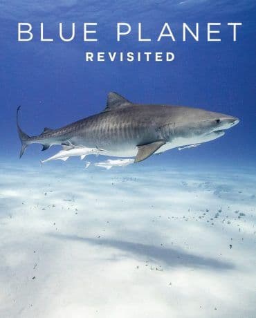 Blue Planet Revisited  (2020)