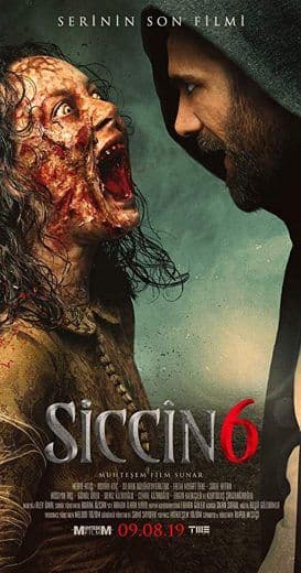 Siccin 6 2019 (2019)