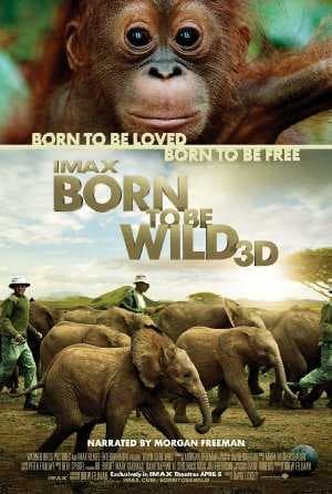 Born to Be Wild 2011 (2011)