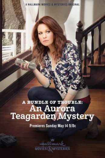 A Bundle of Trouble An Aurora Teagarden Mystery 2017 (2017)