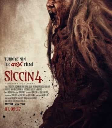 Siccin 4 2017 (2017)