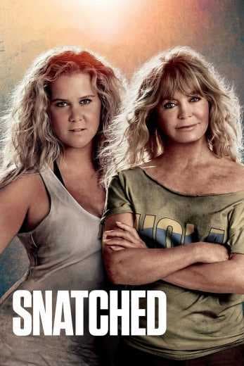 Snatched 2017 (2017)
