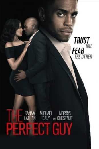 The Perfect Guy 2015 (2015)