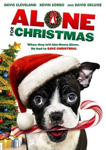 Alone for Christmas 2013 (2013)