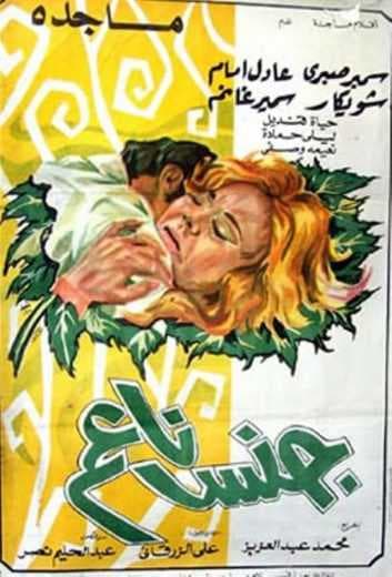 جنس ناعم (1977)