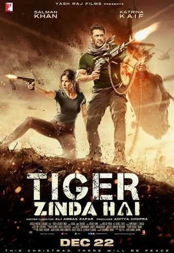 Tiger Zinda Hai 2017 (2017)