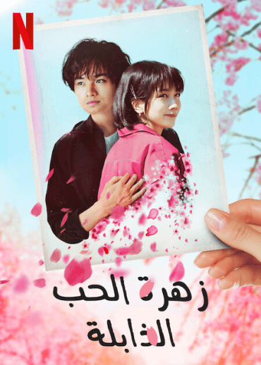 Love Like the Falling Petals (2022)