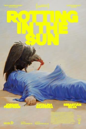 Rotting in the Sun (2023)