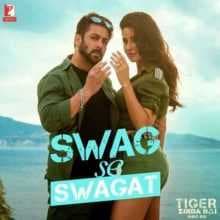 اغنية Swag Se Swagat مترجمة من فيلم Tiger Zinda Hai