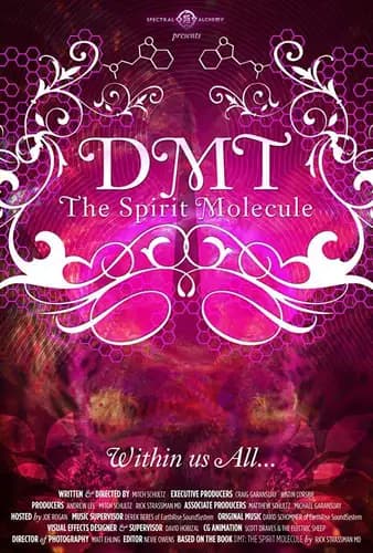 DMT The Spirit Molecule (2010)