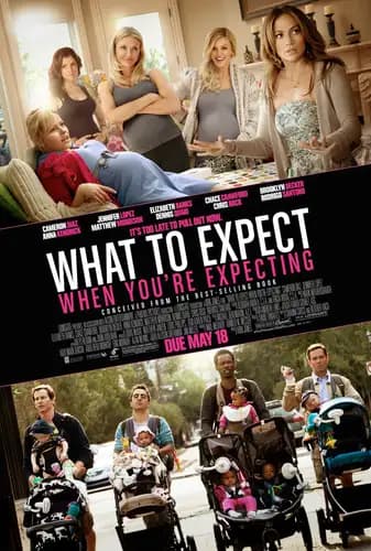 What to Expect When You’re Expecting (2012)