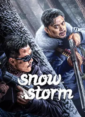 Snowstorm (2024)