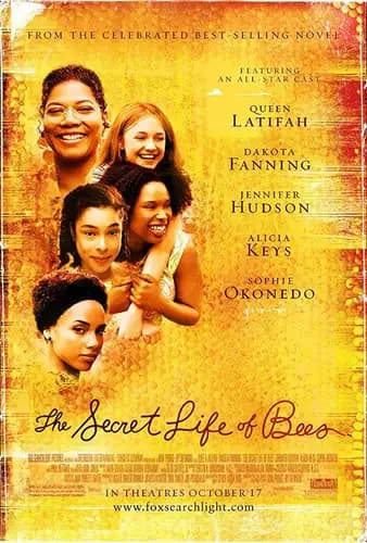 Secret Life Of Bees (2008)