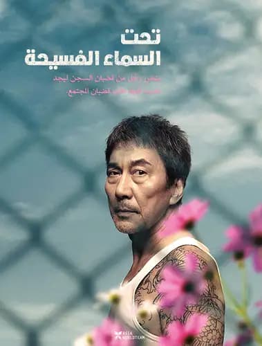 Under The Open Sky (2020)