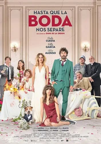 The Wedding Unplanner (2020)