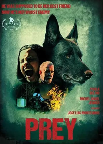 Cordes (2019)
