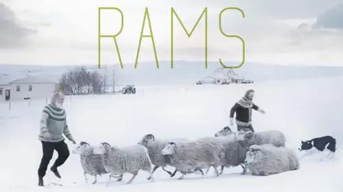 Rams (2015)