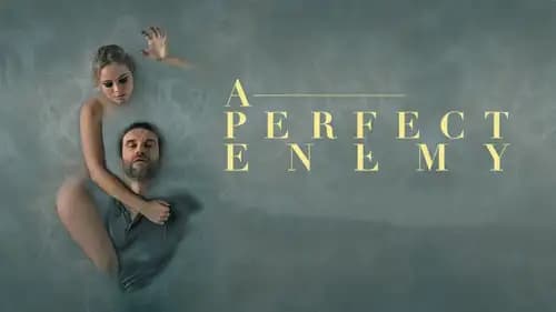 A Perfect Enemy (2020)