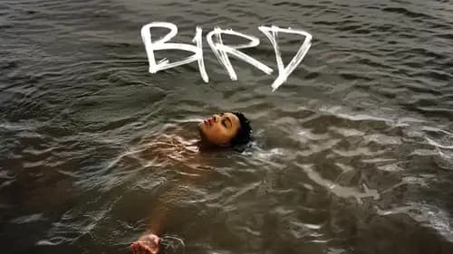 Bird (2024)