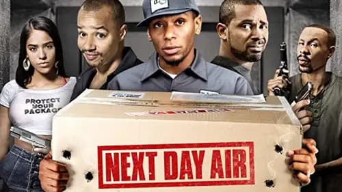Next Day Air (2009)