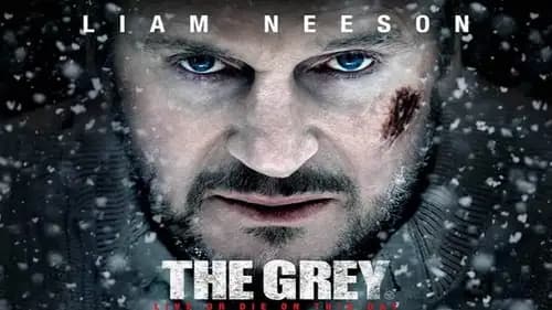 The Grey (2011)