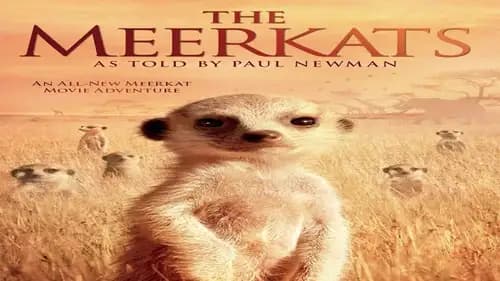 The Meerkats (2008)
