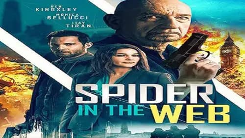 Spider in the Web (2019)