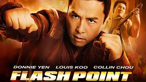 Flash Point (2007)