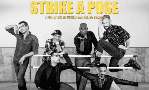 Strike a Pose (2016)