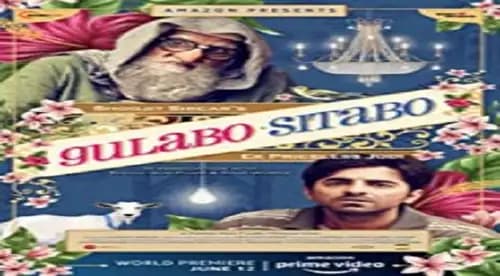 Gulabo Sitabo (2020)