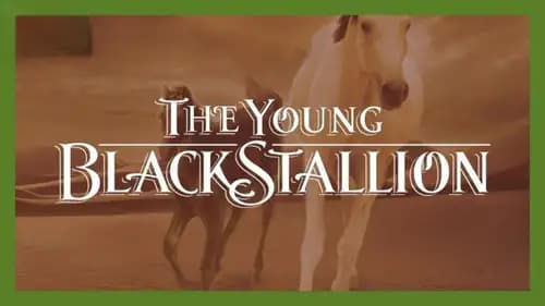 The Young Black Stallion (2003)