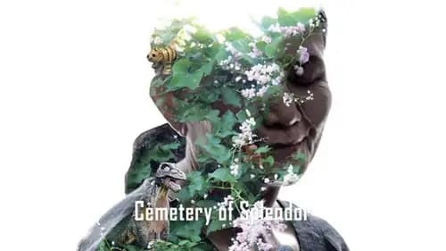 Cemetery of Splendor (2015)