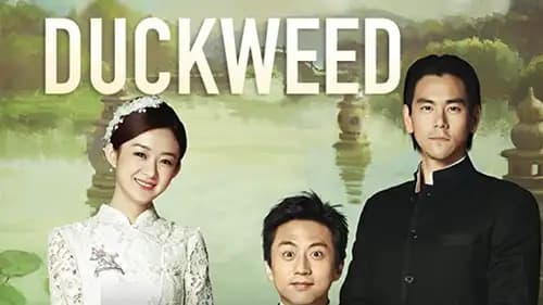 Duckweed (2017)