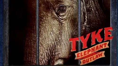 Tyke Elephant Outlaw (2015)