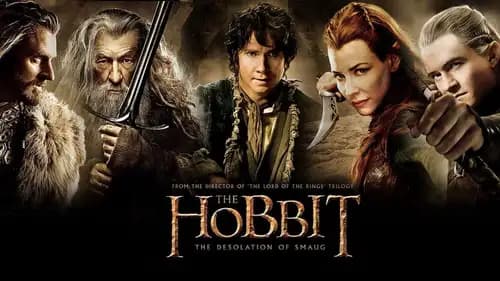 The Hobbit The Desolation of Smaug (2013)