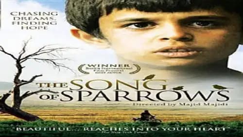 The Song Of Sparrows (2008)
