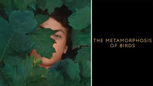 The Metamorphosis Of Birds (2020)