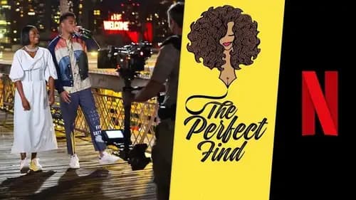 The Perfect Find (2023)