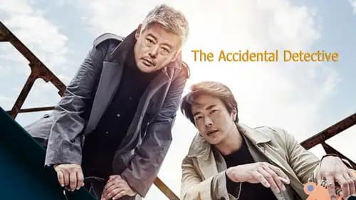 The Accidental Detective (2015)