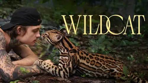 Wildcat (2022)
