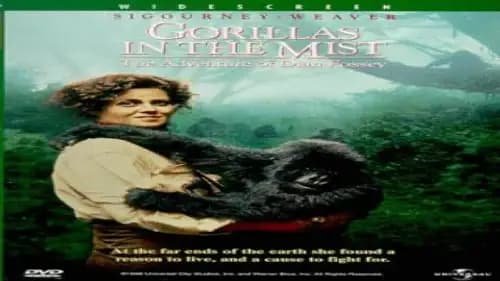 Gorillas In The Mist The Story Of Dian Fossey (1988)