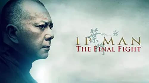 Ip Man: The Final Fight (2013)