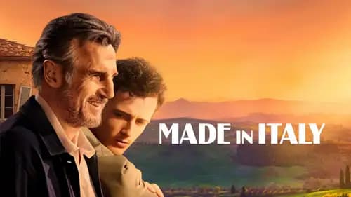 Made in Italy اون لاين (2020)